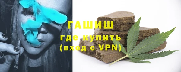 сатива Заводоуковск