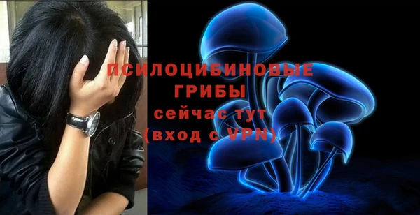 а пвп мука Володарск